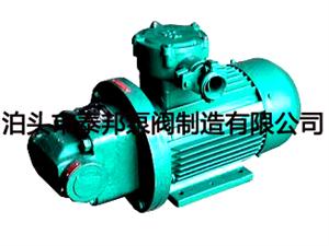 RYB系列雙圓弧擺線(xiàn)內(nèi)齒泵-擺線(xiàn)內(nèi)嚙合齒輪泵-RYB齒輪泵